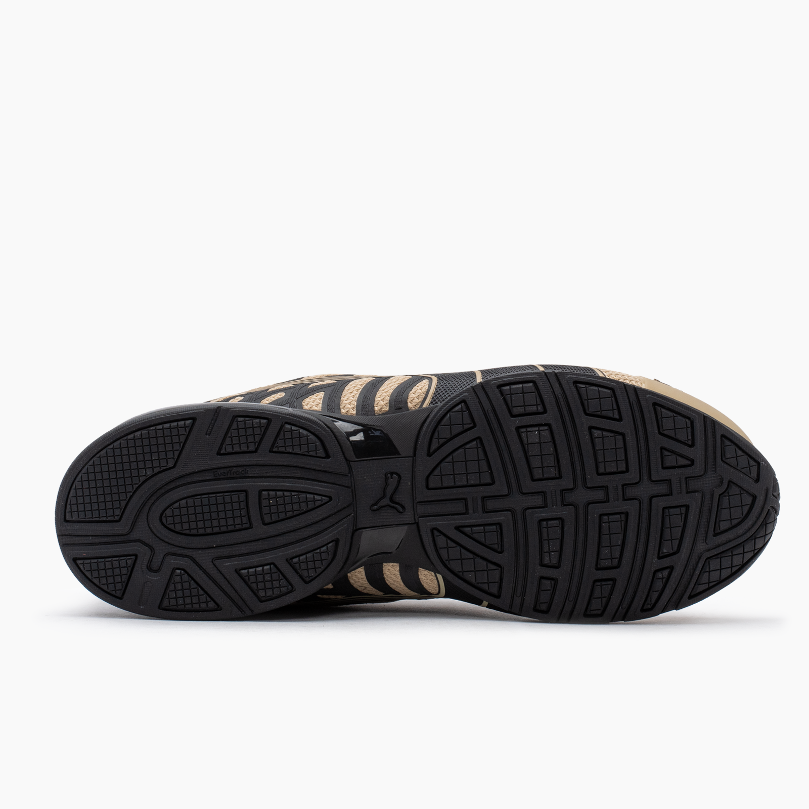 Puma Voltaic Evo - Hombre